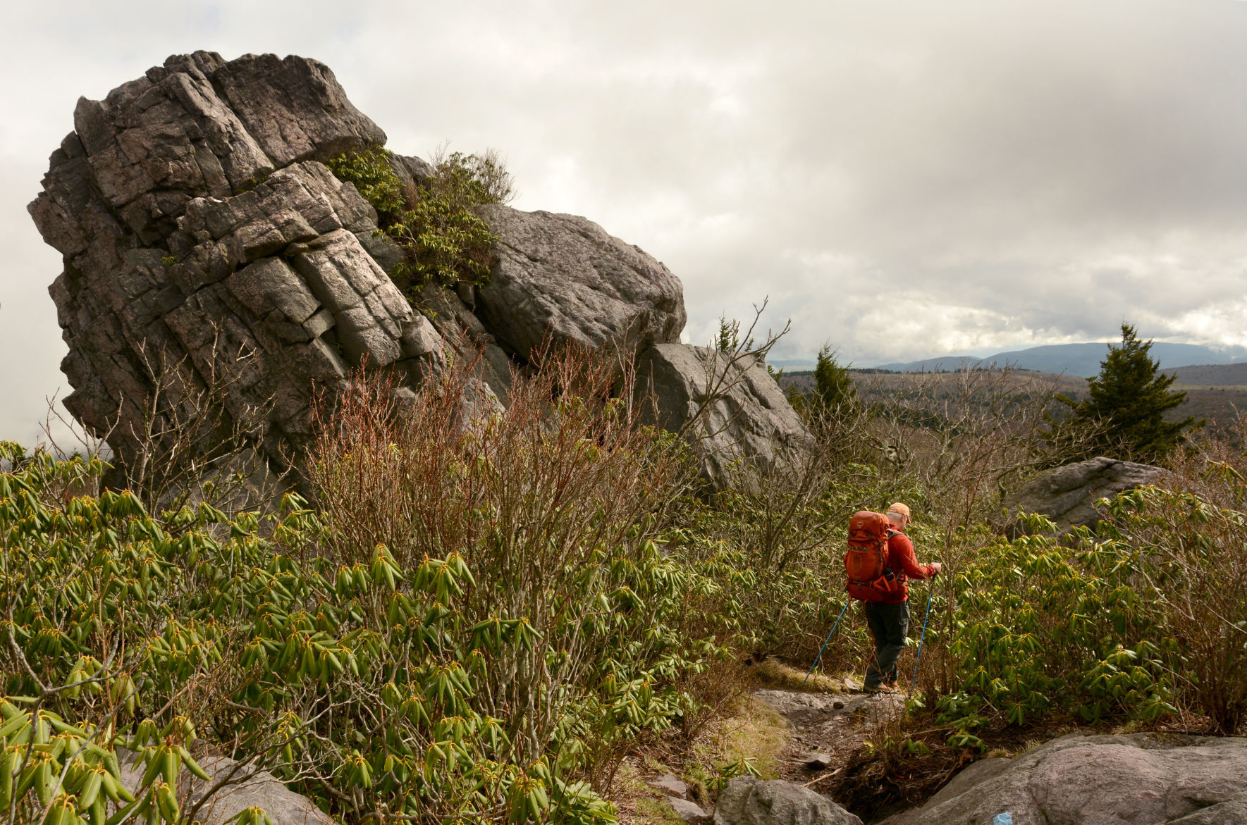 Mount Rogers National Recreation Area
